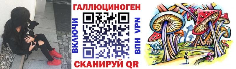 Псилоцибиновые грибы GOLDEN TEACHER  купить  цена  площадка Telegram  Берёзовский 